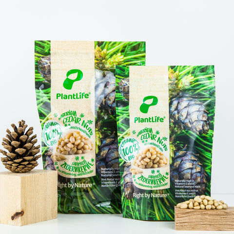 Organic Siberian Cedar Nuts